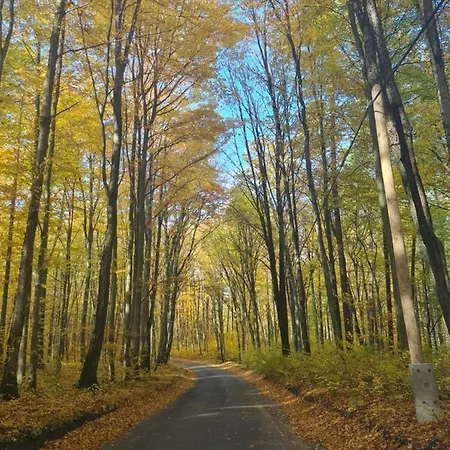 Konrad - Balia Ogrodowa Dodatkowo Platna Holiday home Koscierzyna