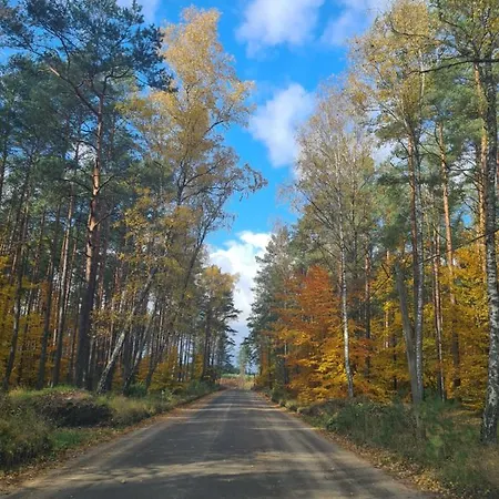 Konrad - Balia Ogrodowa Dodatkowo Platna *
