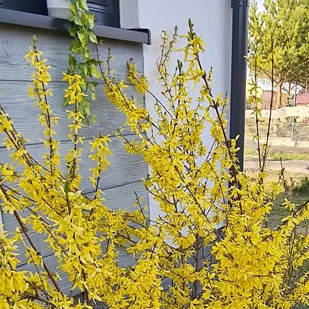 Casa vacanze Konrad - Balia Ogrodowa Dodatkowo Platna
