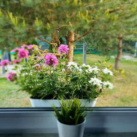 Holiday home Konrad - Balia Ogrodowa Dodatkowo Platna Koscierzyna