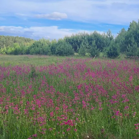 Holiday home Konrad - Balia Ogrodowa Dodatkowo Platna *