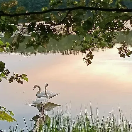 Сasa de vacaciones Konrad - Balia Ogrodowa Dodatkowo Platna