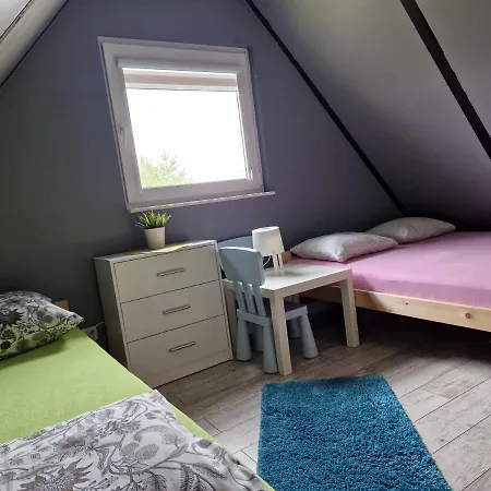 Konrad - Balia Ogrodowa Dodatkowo Platna Holiday home Koscierzyna