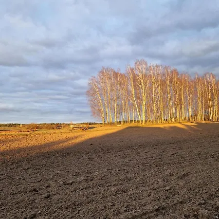 Konrad - Balia Ogrodowa Dodatkowo Platna Holiday home Koscierzyna