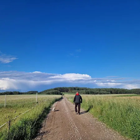 Holiday home Konrad - Balia Ogrodowa Dodatkowo Platna Koscierzyna