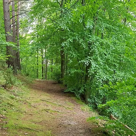 Holiday home Konrad - Balia Ogrodowa Dodatkowo Platna