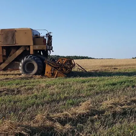 Konrad - Balia Ogrodowa Dodatkowo Platna Kościerzyna