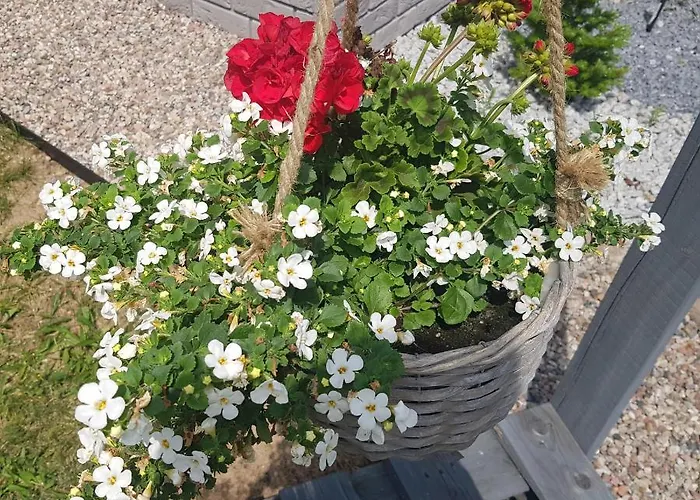 Konrad - Balia Ogrodowa Dodatkowo Platna Prázdninový dům *