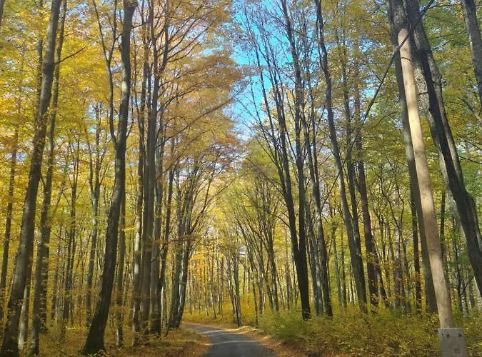 Konrad - Balia Ogrodowa Dodatkowo Platna Ferienhaus Kościerzyna