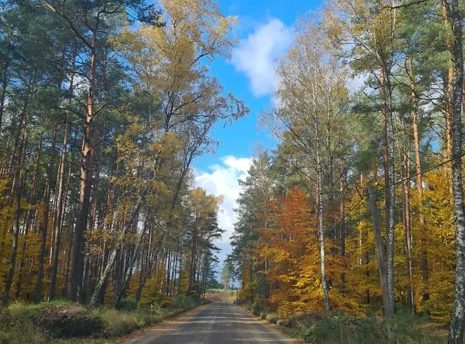 Konrad - Balia Ogrodowa Dodatkowo Platna *