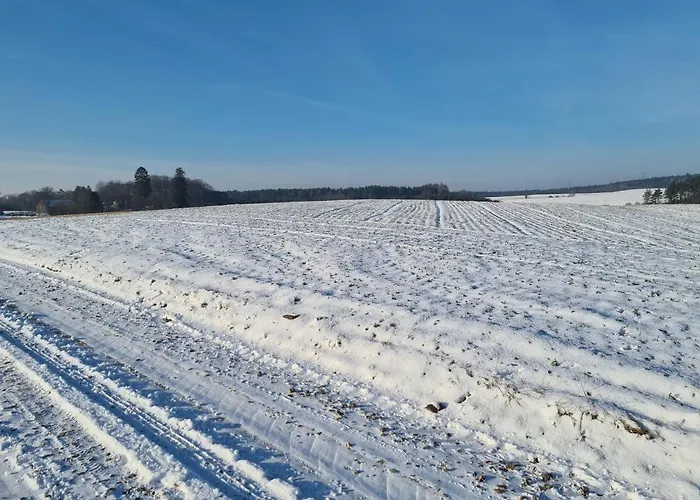 Konrad - Balia Ogrodowa Dodatkowo Platna * Kościerzyna