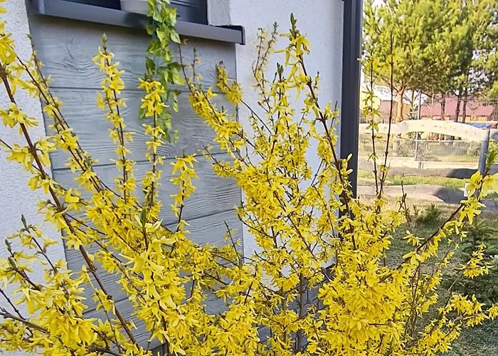 Ferienhaus Konrad - Balia Ogrodowa Dodatkowo Platna