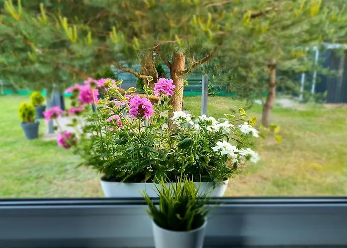 Ferienhaus Konrad - Balia Ogrodowa Dodatkowo Platna Kościerzyna