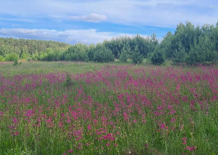 Prázdninový dům Konrad - Balia Ogrodowa Dodatkowo Platna *