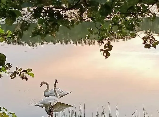Prázdninový dům Konrad - Balia Ogrodowa Dodatkowo Platna