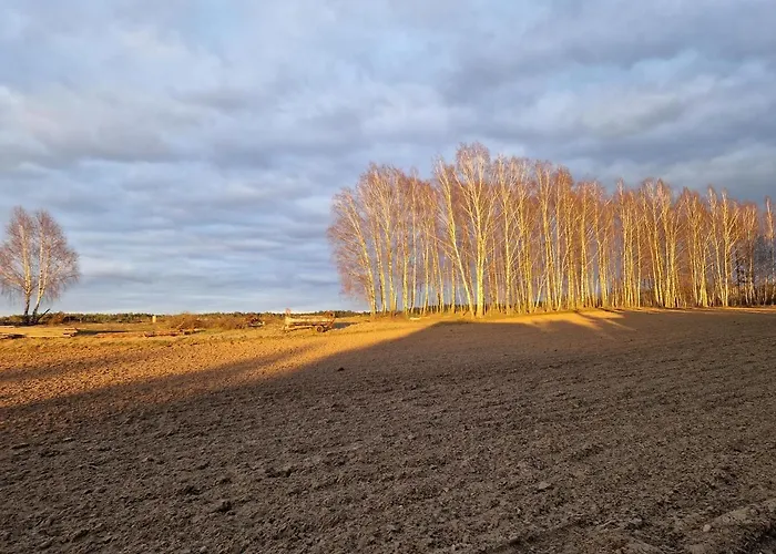 Konrad - Balia Ogrodowa Dodatkowo Platna Prázdninový dům Kościerzyna