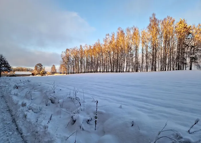 Konrad - Balia Ogrodowa Dodatkowo Platna Prázdninový dům Kościerzyna