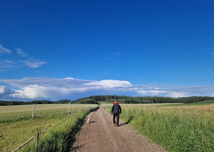 Nyaraló Konrad - Balia Ogrodowa Dodatkowo Platna Kościerzyna