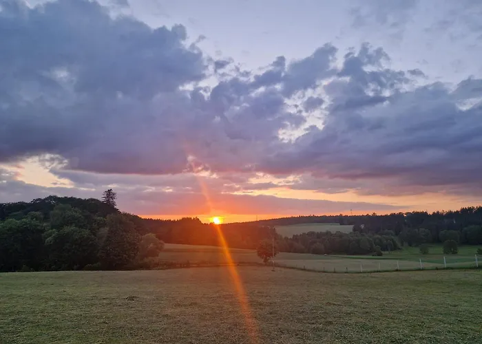 Konrad - Balia Ogrodowa Dodatkowo Platna Kościerzyna