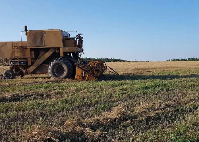 Konrad - Balia Ogrodowa Dodatkowo Platna Kościerzyna