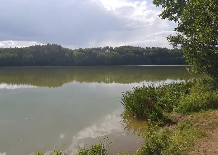 Konrad - Balia Ogrodowa Dodatkowo Platna Ferienhaus Kościerzyna